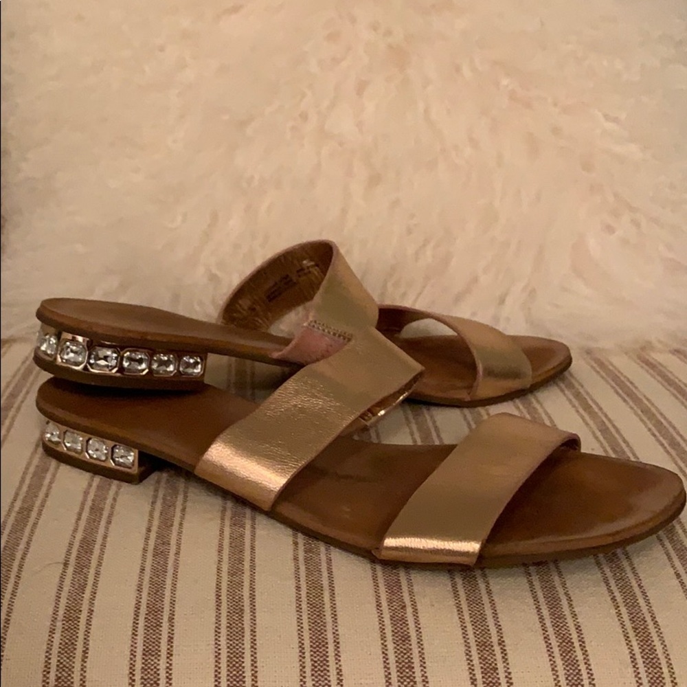Dune Slides